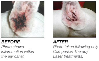 Laser Therapy before & after Surgury